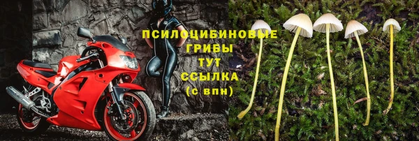 тгк Корсаков